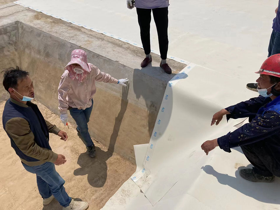 基础做非沥青基高分子自粘胶膜防水卷材